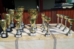 14248138_1381184238575655_996066956_o