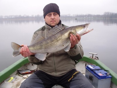 P1010001 (800x600).jpg